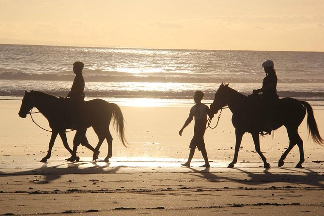 Horseback Riding in Djerba Lagoon - Getting comfortable with the horses
