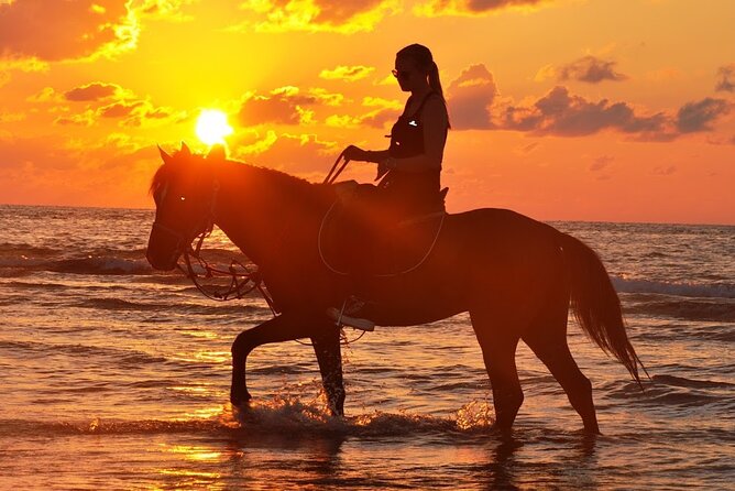 Horseback riding or camel at sunset in Djerba - What This Djerba Sunset Ride Is Really Like
