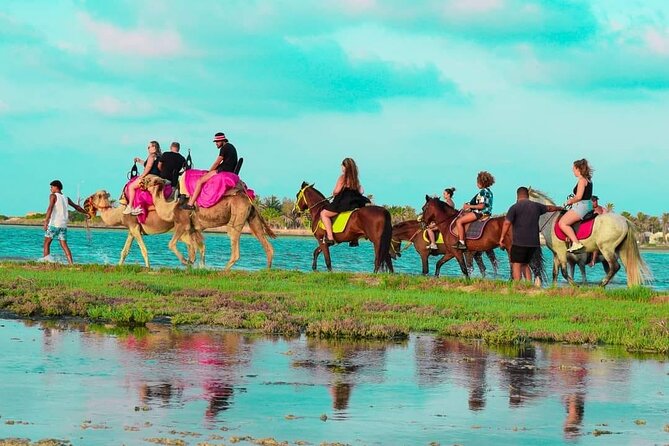 Horseback riding or camel at sunset in Djerba - Sunset Views and the Best Part of the Ride