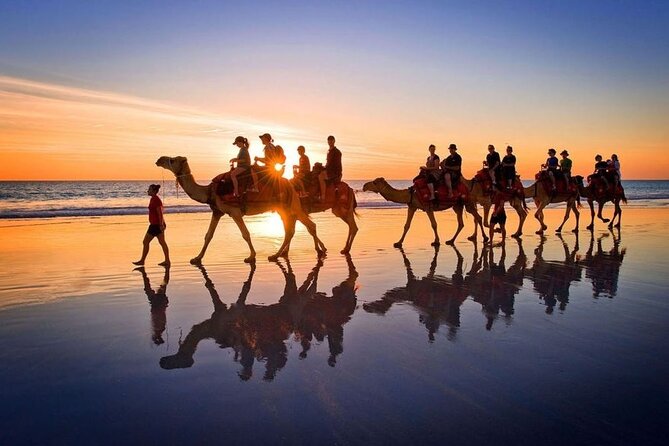 Horseback riding or camel at sunset in Djerba - Group Size, Comfort, and Who Will Enjoy It