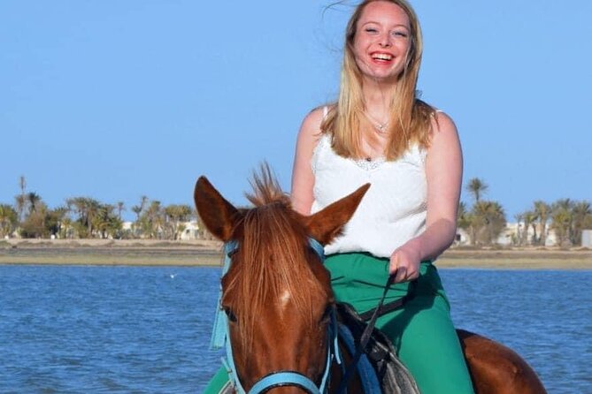 Horseback riding or camel at sunset in Djerba - Choosing Between a Horse and a Camel