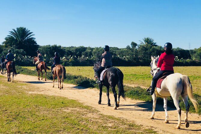 Horseback riding with private transfer - Meeting the horses and getting ready
