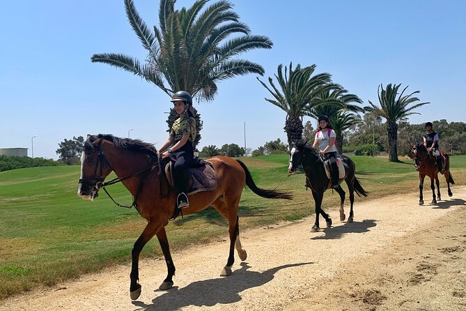 Horseback riding with private transfer - The private transfer makes the outing easier