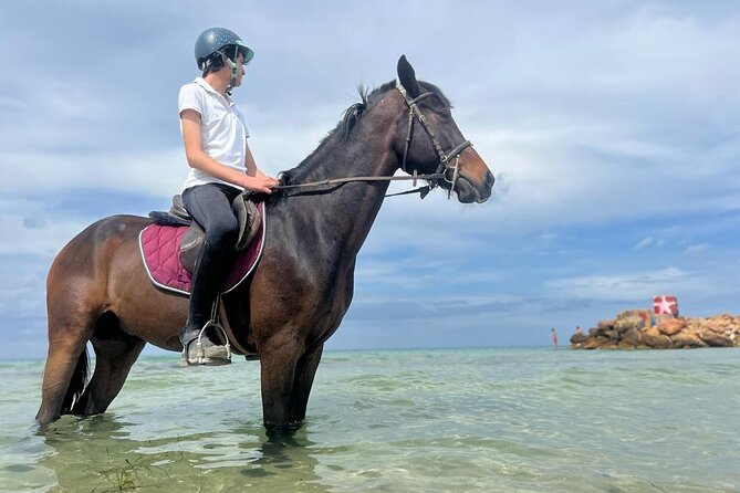 Horseback riding with private transfer - Why beginners and families may enjoy it