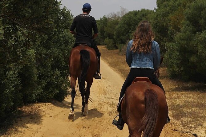 Horseback riding with private transfer - What the guide’s role adds