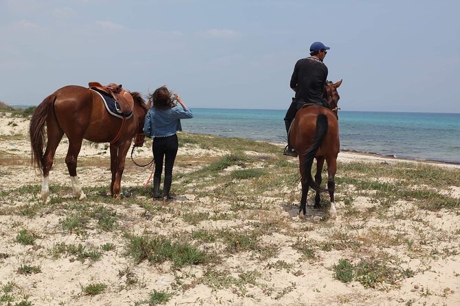 Horseback riding with private transfer - A close look at the value of $62.72