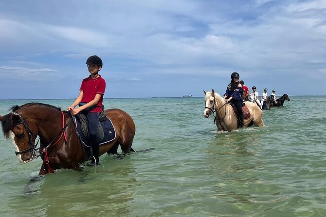 Horseback riding with private transfer - Weather, cancellation, and what to bring