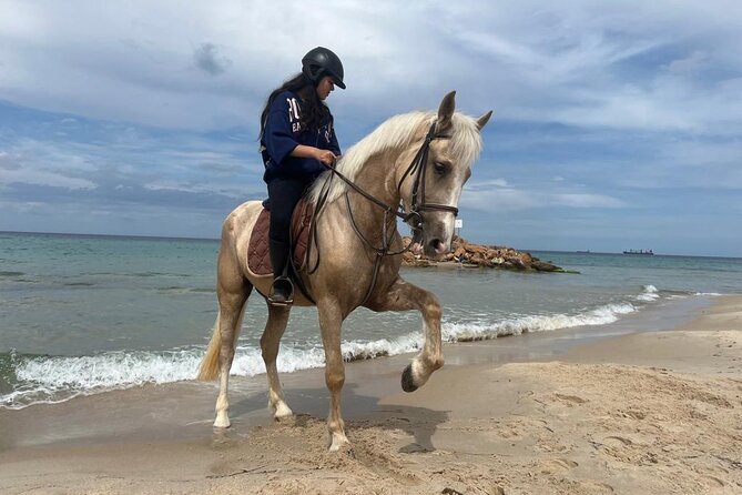 Horseback riding with private transfer - Riding through the countryside and toward the beach