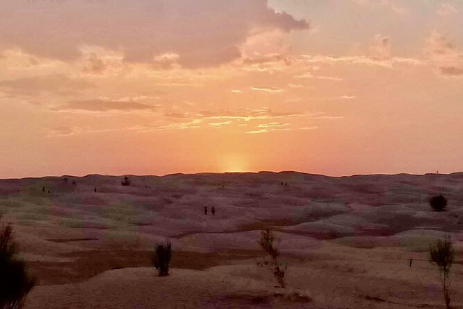 Ksar Ghilaine and Chneni Tataouine 1 day tour in Tunisia - Key details at a glance