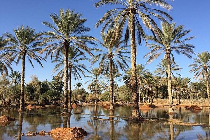 Ksar Ghilaine and Chneni Tataouine 1 day tour in Tunisia - Private transport, comfort, and group size