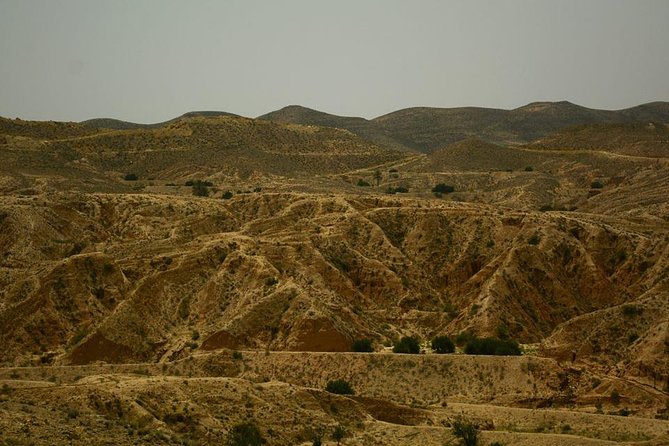 Ksar Ghilane 1 day: The hot spring and the homestay - Key points before you book