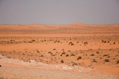 Ksar Ghilane 1 day: The hot spring and the homestay