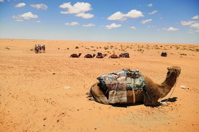 Ksar Ghilane 1 day: The hot spring and the homestay - Lunch, guide service, and the private format