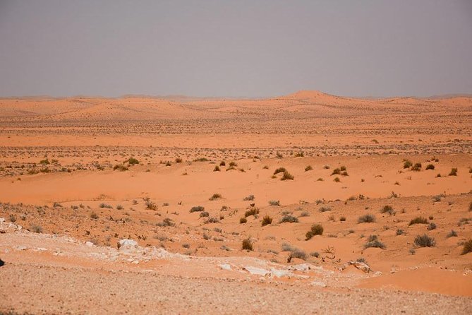 Ksar Ghilane 1 day: The hot spring and the homestay - Ksar Ghilane: warm water beside the dunes