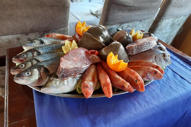 North Africa Tour Bizerte Cape Angela and Ichkeul Unesco park - Who should book this tour?