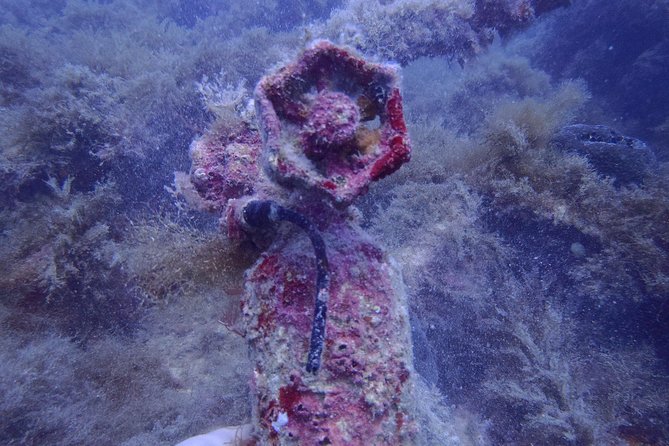 Octopus Rock Exploration - Certified Diver - Key points at a glance