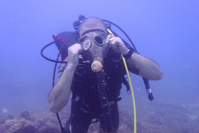 Octopus Rock Exploration - Certified Diver - Why Octopus Rock is worth your attention