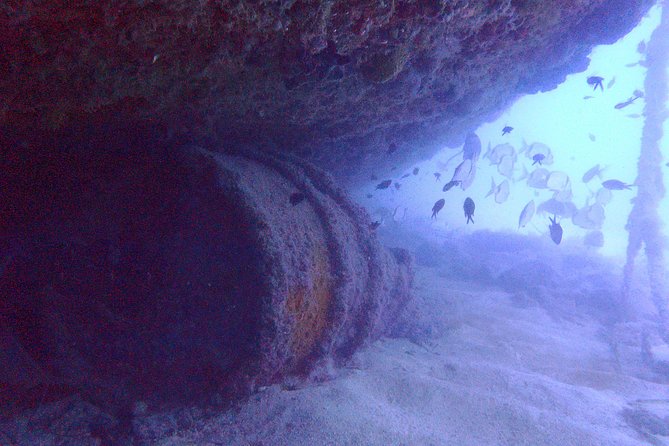 Octopus Rock Exploration - Certified Diver - Starting at Club de Plongée La Sirène at 8:30 a.m.