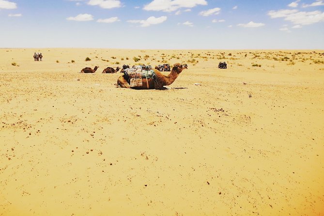 One night under the tent: Tataouine - Chenini - Ksar Ghilane - Matmata - Why this two-day desert route works