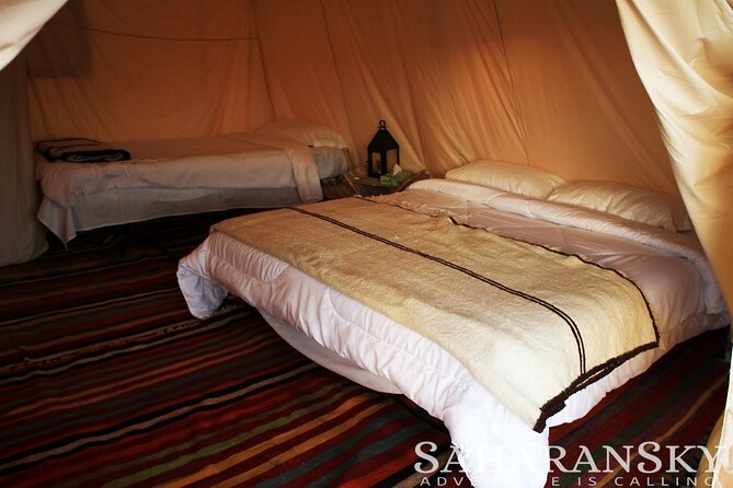 Overnight Tunisia Sahara Desert Safari by 4x4 from Douz - Wildlife in the Douz Desert Reserve