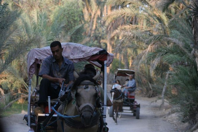 PRIVATE 2 day SAFARI (Ksar Ghilane and Atlas Mountains) from Jerba - Douz and the Grand Erg Oriental