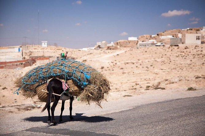 PRIVATE 2 day SAFARI (Ksar Ghilane and Atlas Mountains) from Jerba - Tozeur and the oasis edge