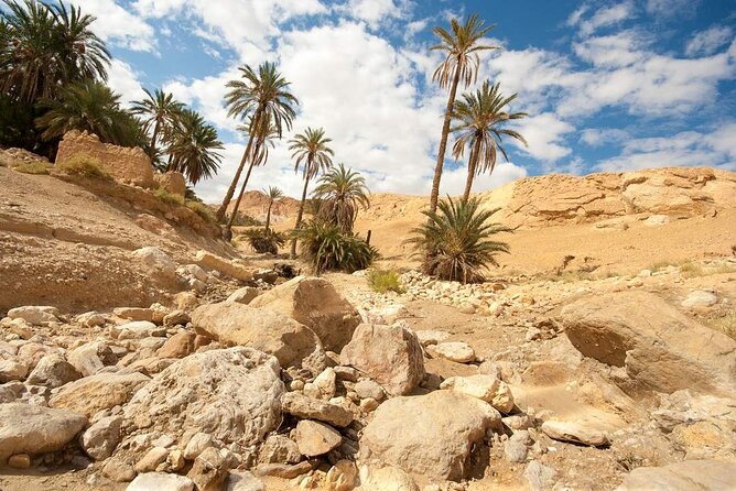 PRIVATE 2 day SAFARI (Ksar Ghilane and Atlas Mountains) from Jerba - Chebika and the Atlas Mountains