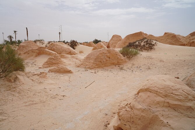 Private 3 Day Tour in Southern Tunisia or More - Tozeur’s oasis and old-town atmosphere