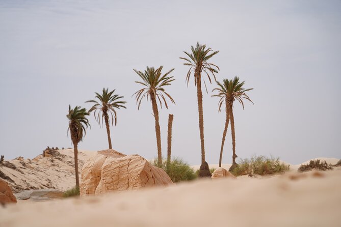 Private 3 Day Tour in Southern Tunisia or More - Mountain oases: Chebika and Tamerza