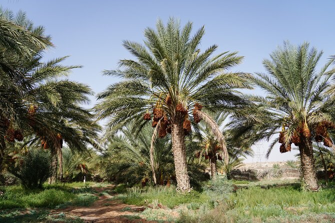 Private 3 Day Tour in Southern Tunisia or More - The return route through Metlaoui, Gafsa, Sidi Bouzid, and Kairouan