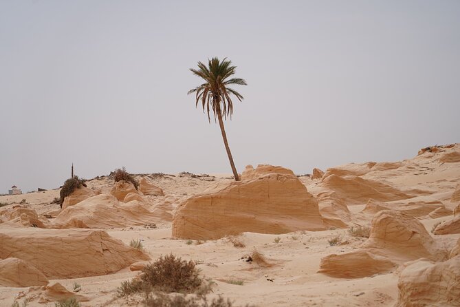 Private 3 Day Tour in Southern Tunisia or More - Desert nights, tents, and what is actually included