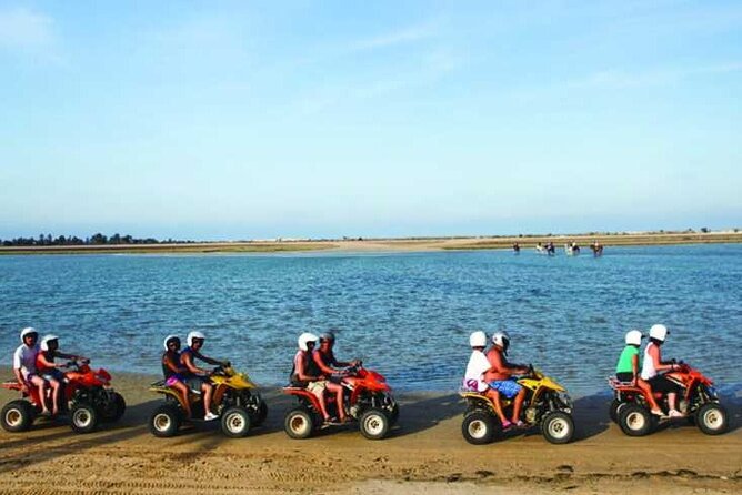Private 3h00 quad ride on the island of Djerba - Meeting at Palm Djerba Café in the tourist zone