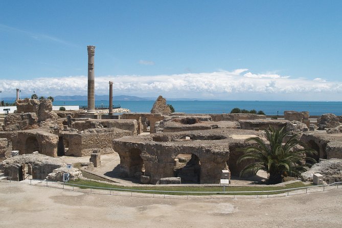 Private Day Tour Tunis Medina Carthage Sidi Bou Said Bardo Museum - Key points before you book