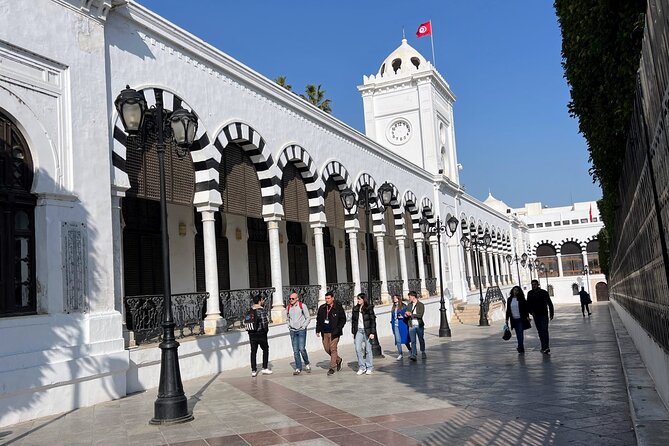 Private Day Tour Tunis Medina Carthage Sidi Bou Said Bardo Museum - Vehicle, walking, and pace
