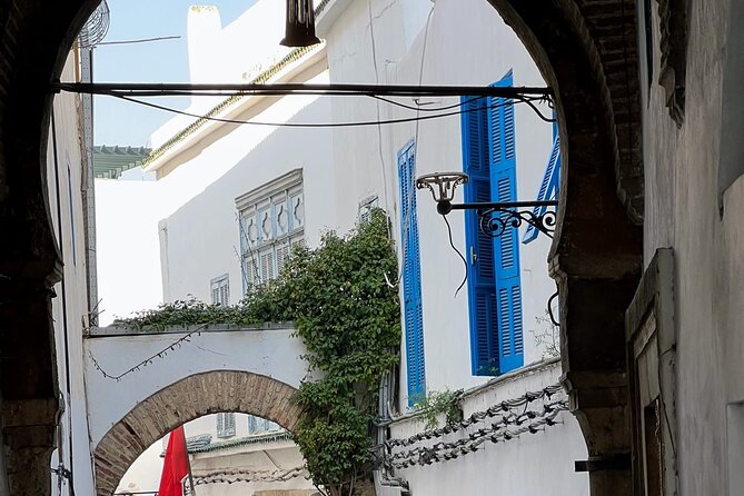 Private Day Tour Tunis Medina Carthage Sidi Bou Said Bardo Museum - Is $234.25 good value for up to three people?