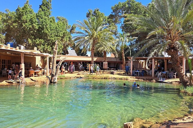Private Day Trip Ksar Ghilane Oasis - Key points to know before booking