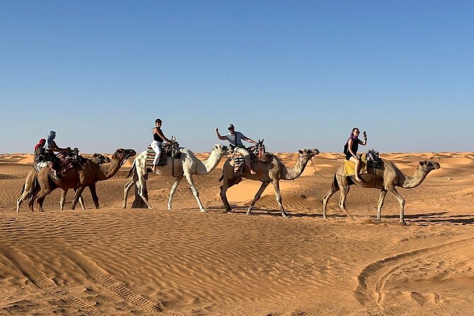 Private Day Trip Ksar Ghilane Oasis - Why this Djerba desert trip works
