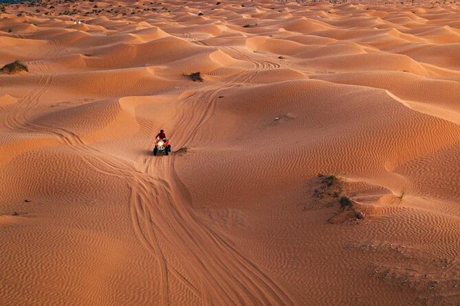 Private Day Trip Ksar Ghilane Oasis - Is $133.76 a fair price?
