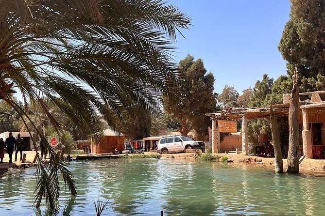 Private Day Trip Ksar Ghilane Oasis - How difficult is the day?