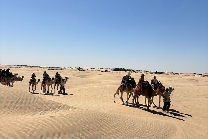 Private Day Trip Ksar Ghilane Oasis - Crossing Djerba’s Roman causeway