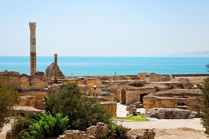 Private Day Trip Tunis Carthage Sidi Bou Said - Key Points Before You Book