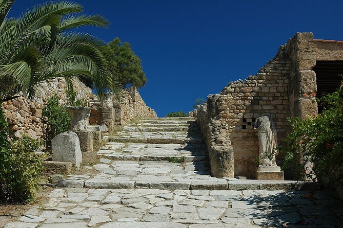 Private Day Trip Tunis Carthage Sidi Bou Said - The Medina of Tunis: A Strong Finish