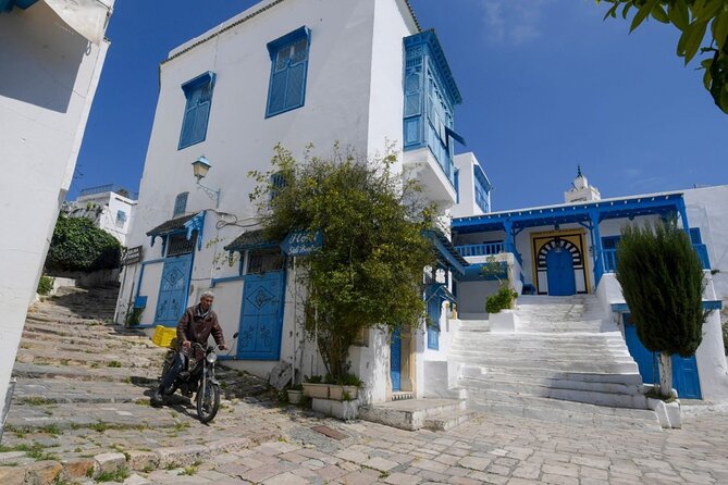 Private Day Trip Tunis Carthage Sidi Bou Said - What the $149.89 Price Really Buys