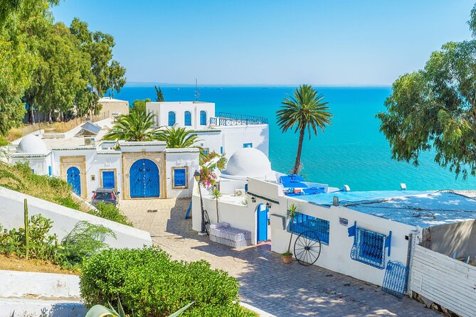 Private Day Trip Tunis Carthage Sidi Bou Said - Booking Details Worth Noting