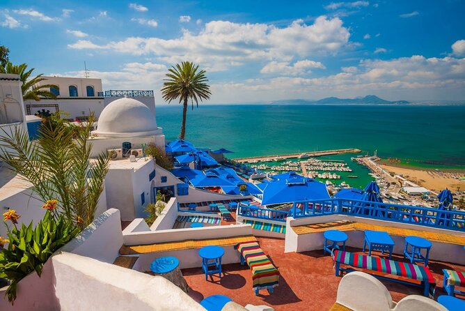 Private Day Trip Tunis Carthage Sidi Bou Said - Carthage: Reading the Ruins With a Guide