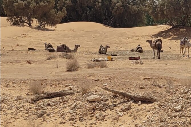 Private getaway in the desert like no other - Sabria and the white sand camp