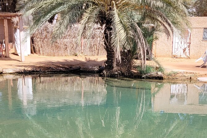 Private getaway in the desert like no other - Douz and the gates of the desert