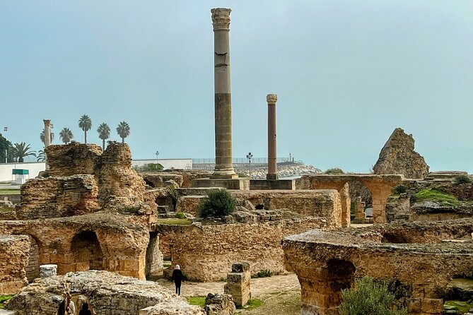 Private Group Day Tour Tunis Medina Carthage Sidi Bou Said - Where the Bardo Museum fits