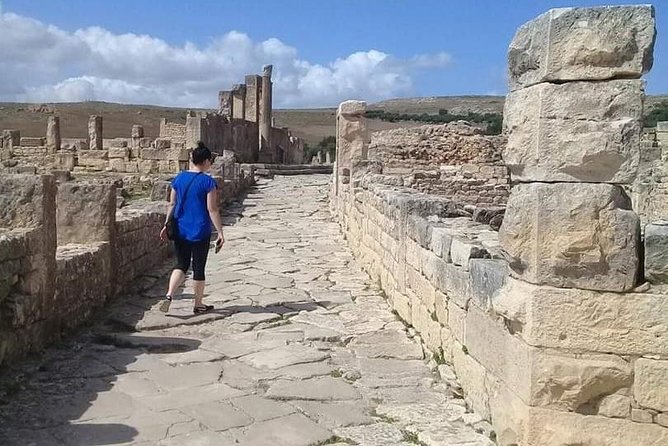 Private Guided Tour of Dougga and Testour Mosque - Who will get the most from this tour?