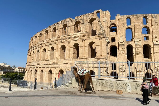 Private Half Day Tour Roman Coliseum EL JEM - Is $80.26 per person good value?